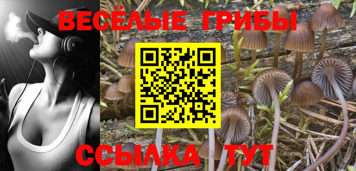 Новокуйбышевск  Галлюциногенные грибы Cubensis  Вход с VPN 