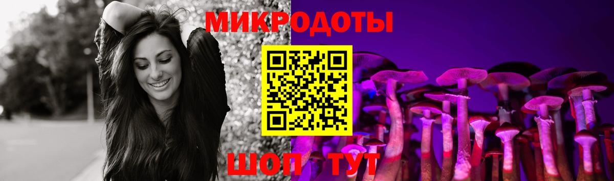Галлюциногенные грибы прущие грибы Новокуйбышевск